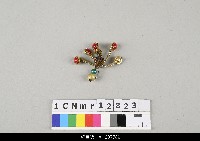 藏品(泉州傀儡戲道具)的圖片